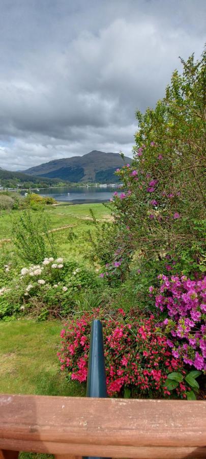 2 Cv At Lochgoilhead With Swedish Hot Tub别墅 外观 照片